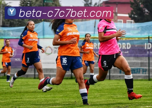 C7娱乐发展历程